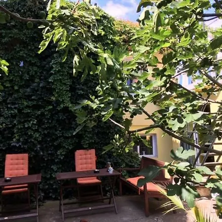 بيت شباب Del Mar